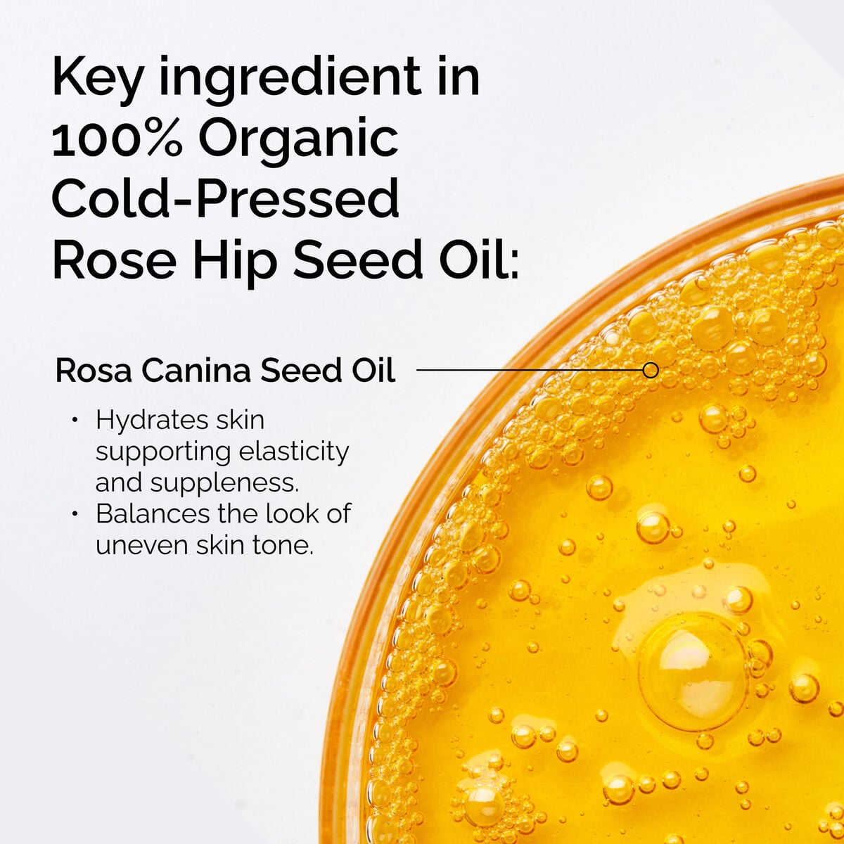 100-organic-cold-pressed-rose-hip-seed-oil-q0 FY25-D41247-ORD-Web-PDP-100-Rose-Hip-Oil-1x1-EN-2.jpg