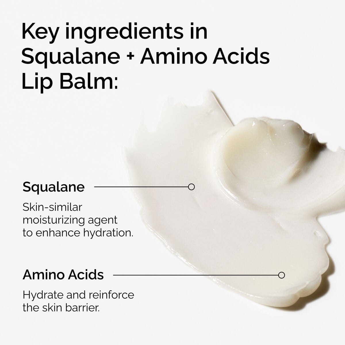squalane-amino-acids-lip-balm-i2 FY25-D41247-ORD-Web-PDP-Sql-Amino-Lip-1x1-EN-2a.jpg