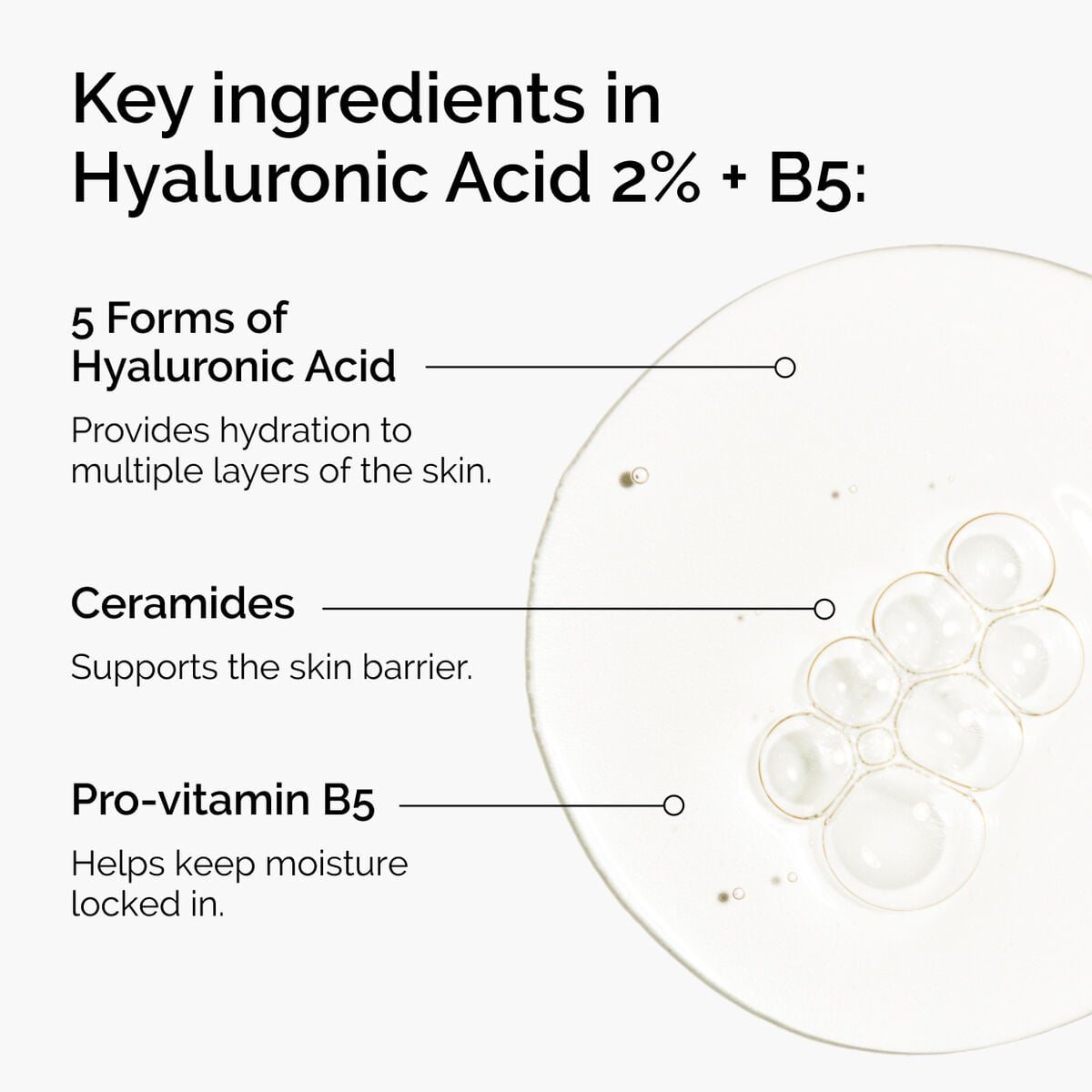 hyaluronic-acid-2-b5-with-ceramides-h7 ord-hyaluronic-acid-2pct-b5-hydrating-serum-ingredients-graphic.jpg
