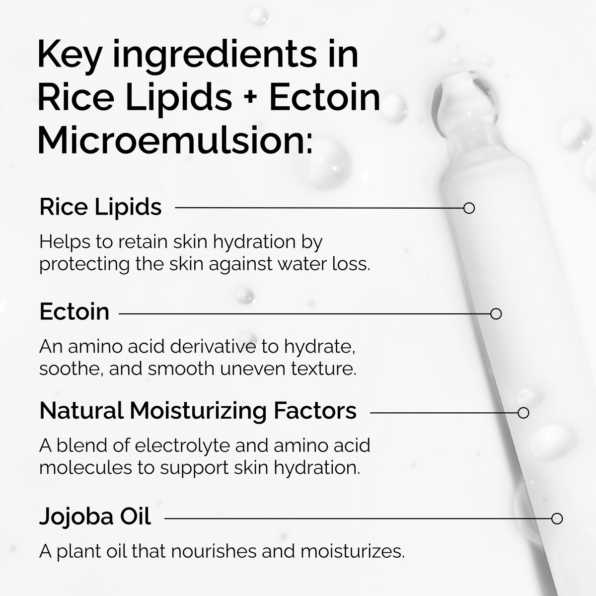 rice-lipids-ectoin-microemulsion-e0 ord-rice-lipids-ectoin-microemulsion-key-ingredients.png