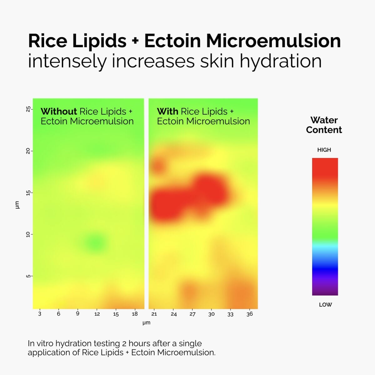rice-lipids-ectoin-microemulsion-e0 ord-rice-lipids-ectoin-microemulsion-thermal-before-after.jpg